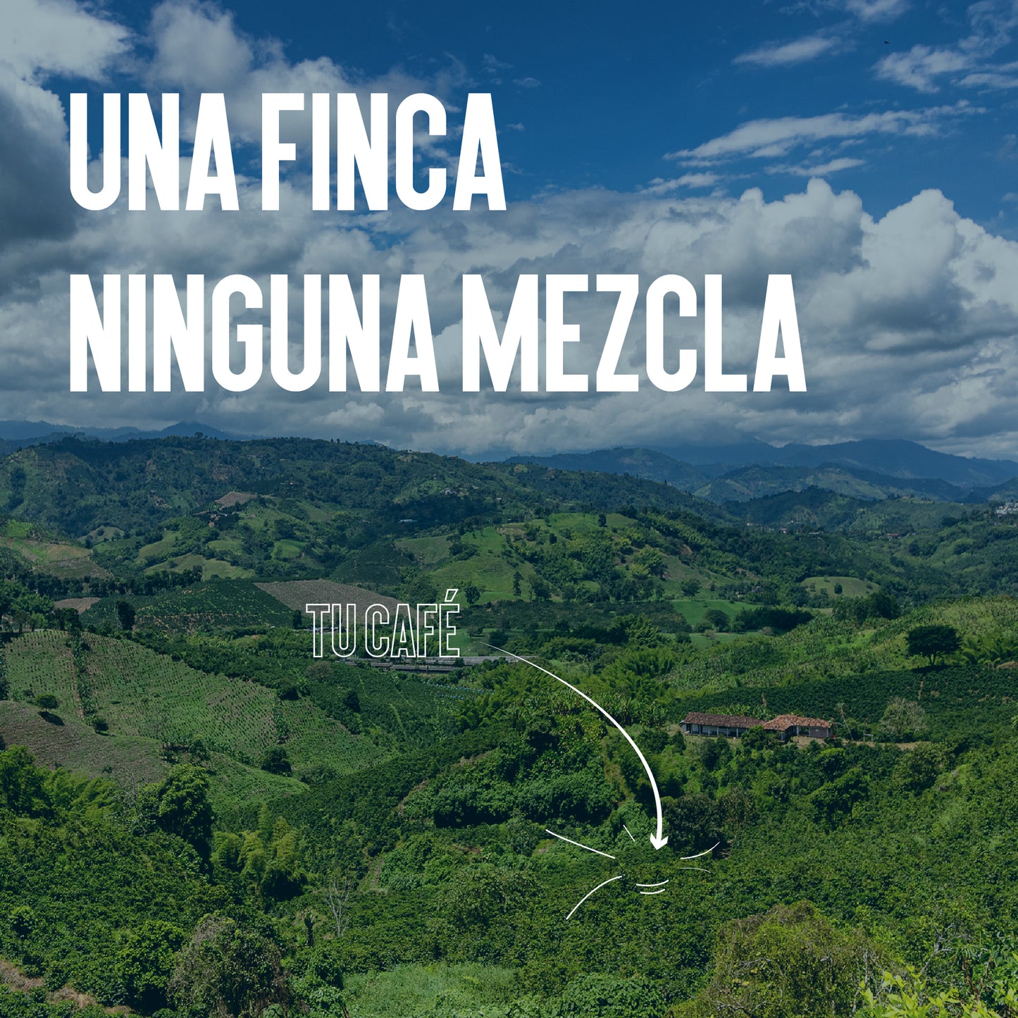 CAFÉ PIRAGUAS 500gr